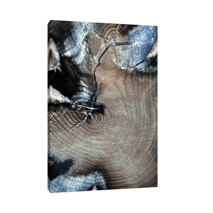 Canvas Slika na platnu Fosilizovano drvo Fruška gora, Bez rama, 30 x 45 cm