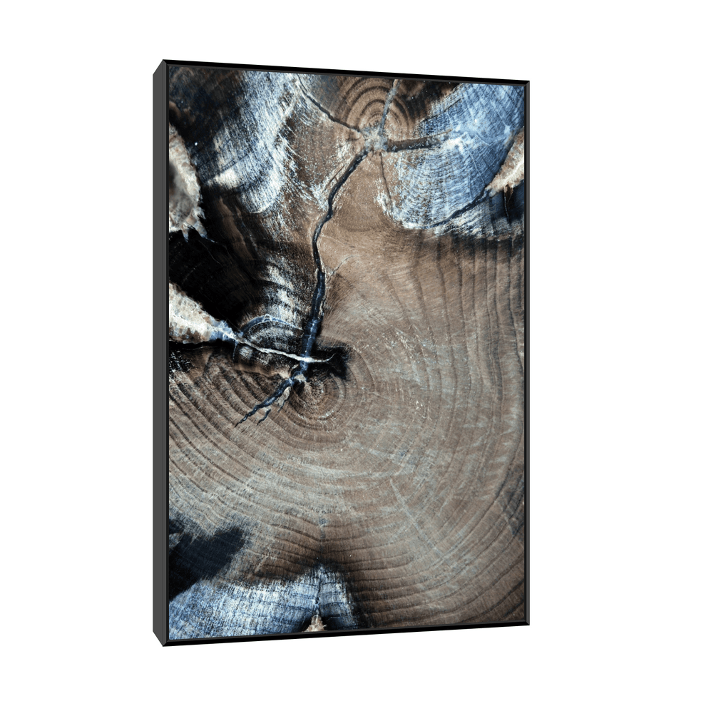 Canvas Slika na platnu Fosilizovano drvo Fruška gora, Sa ramom, 40 x 60 cm, Crni