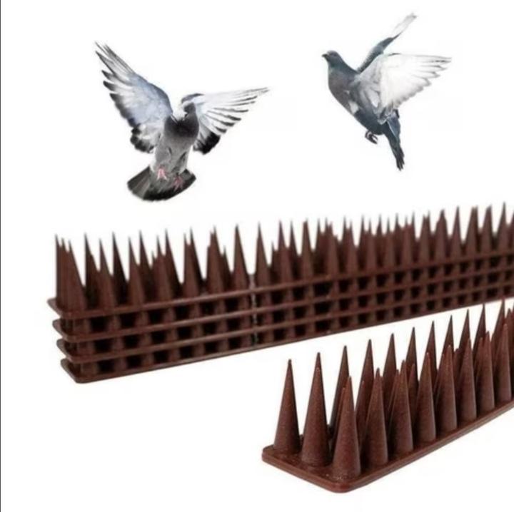 Šiljci za ptice i golubove PVC