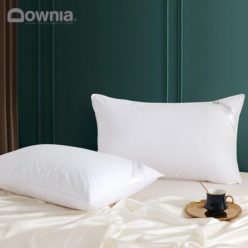 Downia Jastuk, 48 x 74 cm, Beli