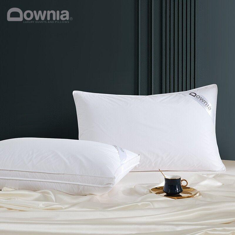 Downia Jastuk, 48 x 74 cm, Beli