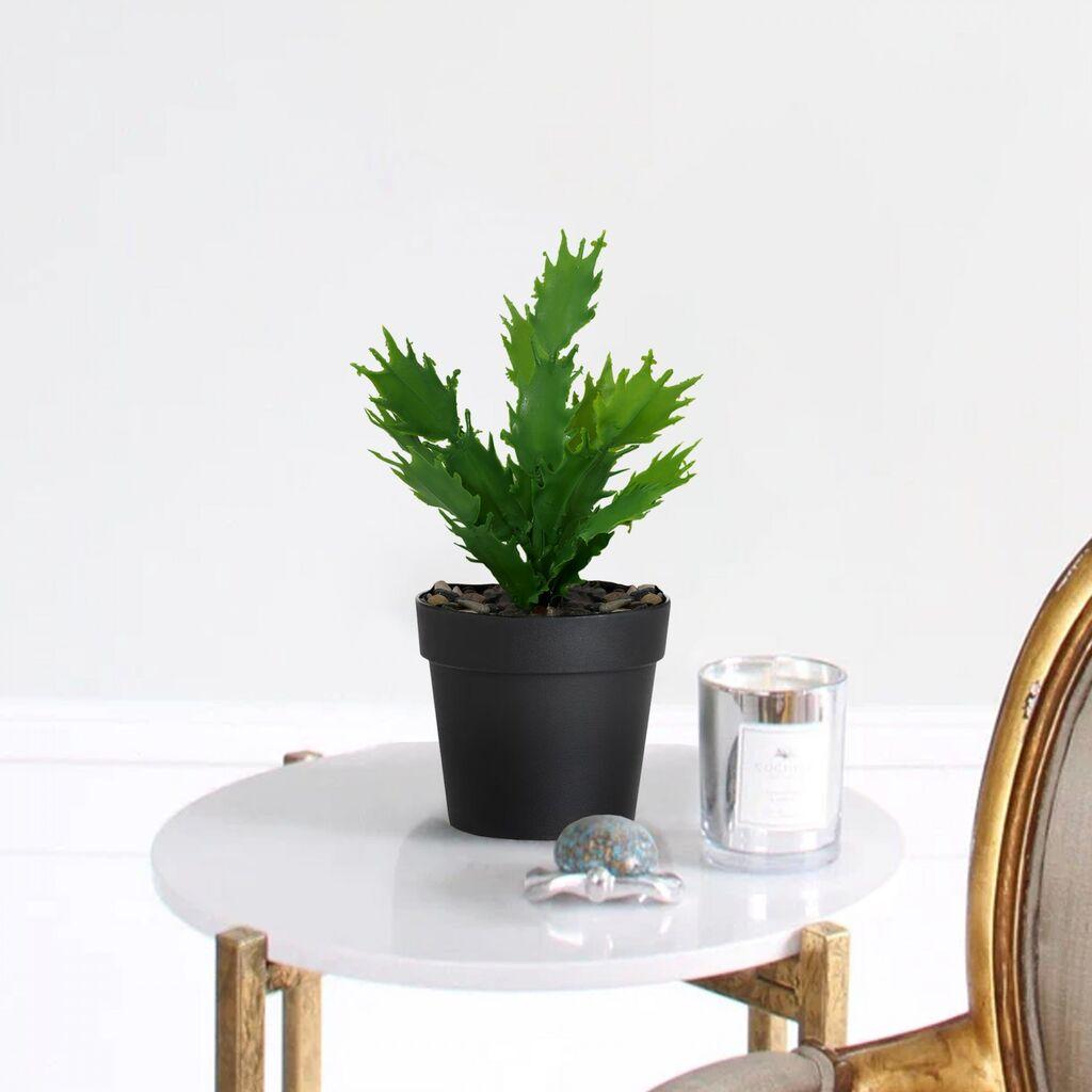 Aberto Design Dekorativna saksija 241347, 21 cm, Crna