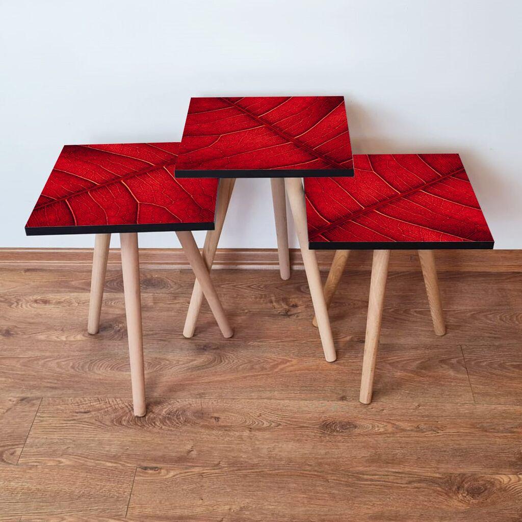 Hanah Home Set klub stočića 3Shp104, 3 komada, Šareni