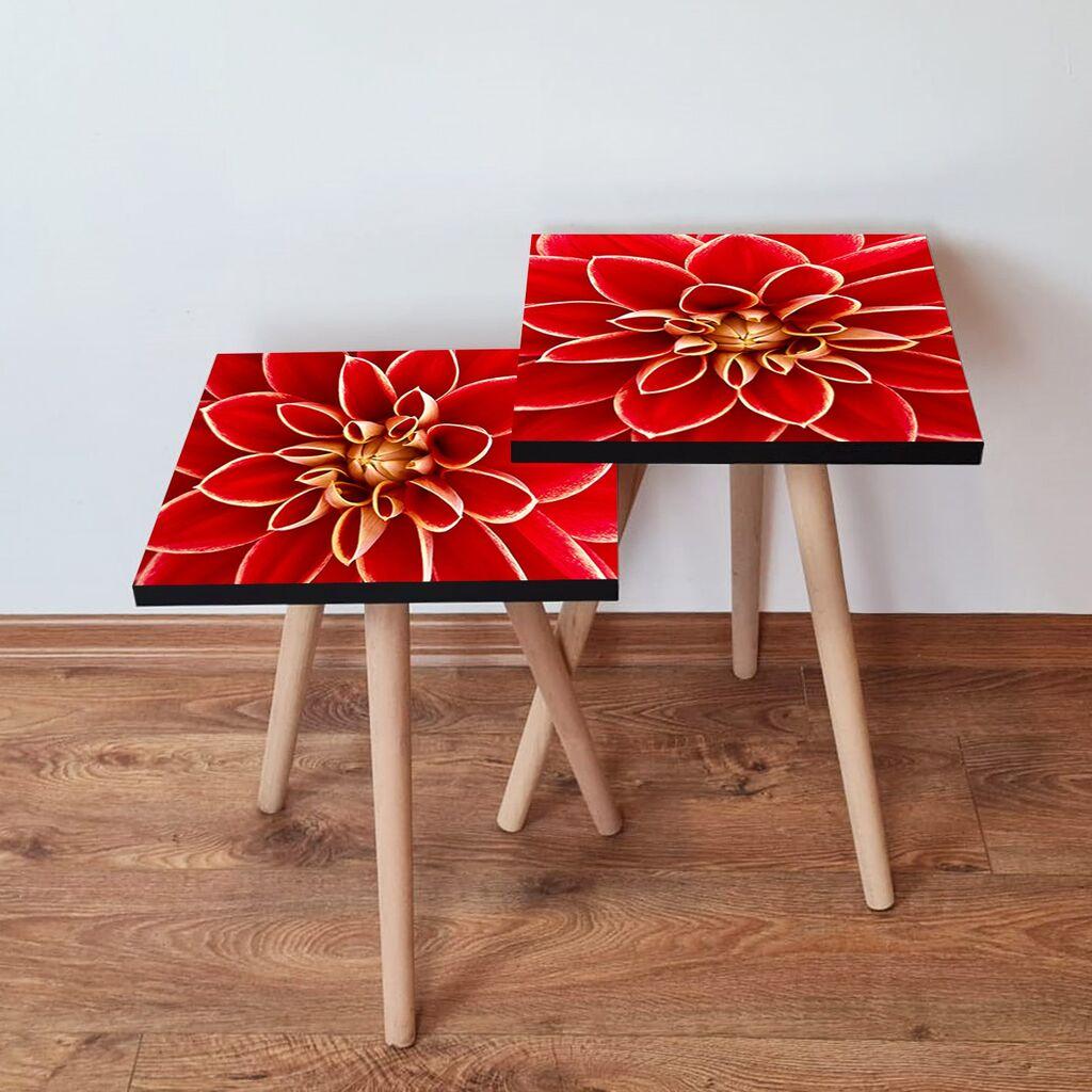 Hanah Home Set klub stočića 2Shp39, 2 komada, Šareni