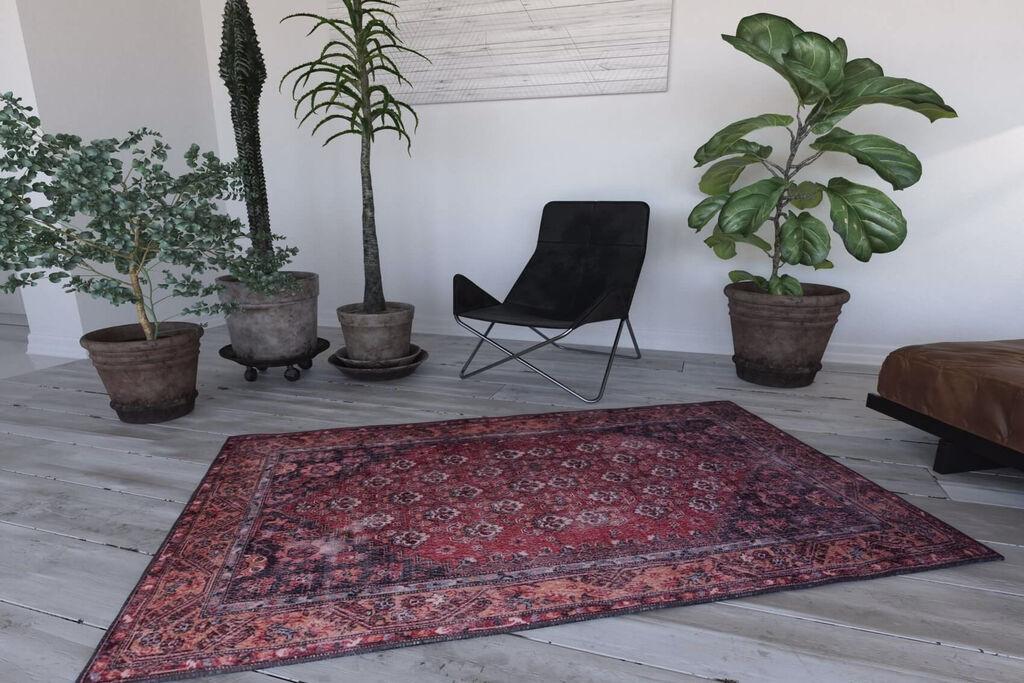 Conceptum Hypnose Tepih 75x150cm Šareni