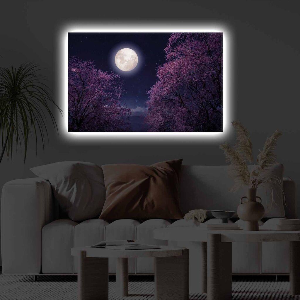 Wallity Slika na platnu sa LED osvetljenjem 45x70cm