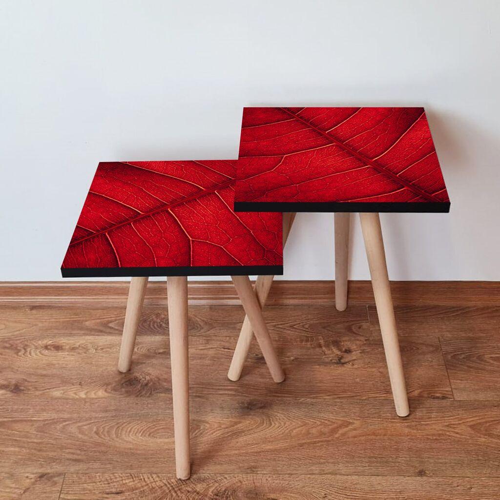 Hanah Home Set klub stočića 2Shp96, 2 komada, Šareni