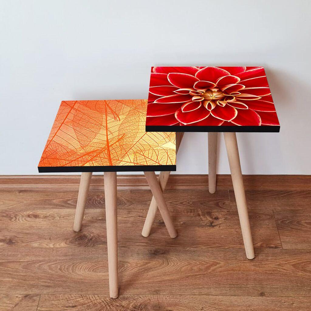 Hanah Home Set klub stočića 2Shp226, 2 komada, Šareni