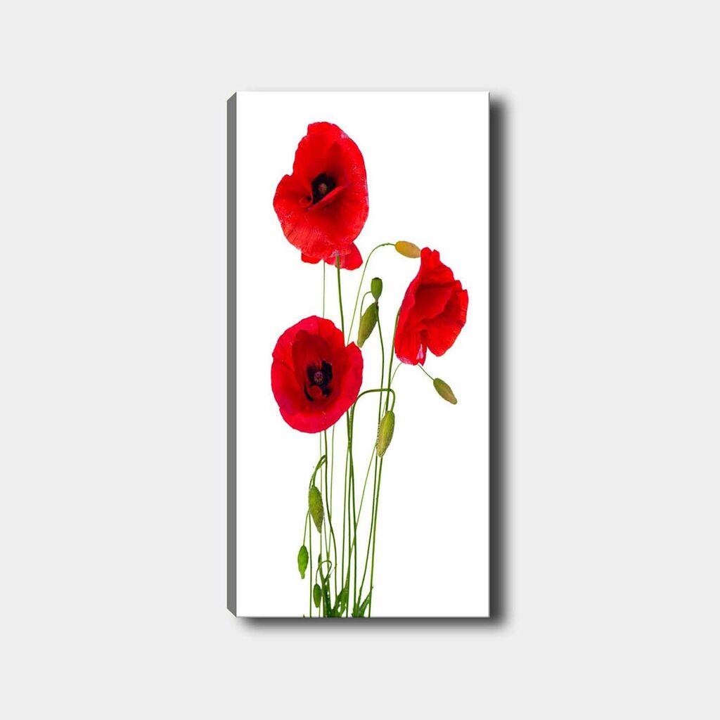 Wallity Slika na platnu 50x120cm