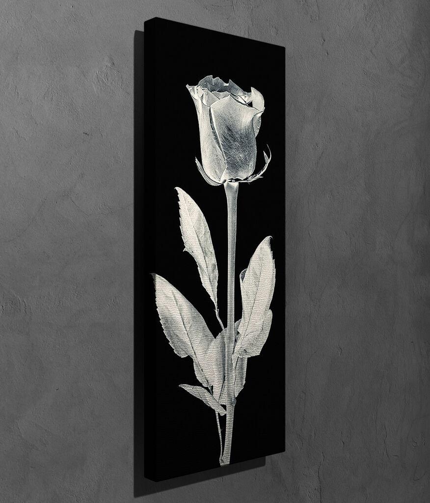 Wallity Slika na platnu 30x80cm