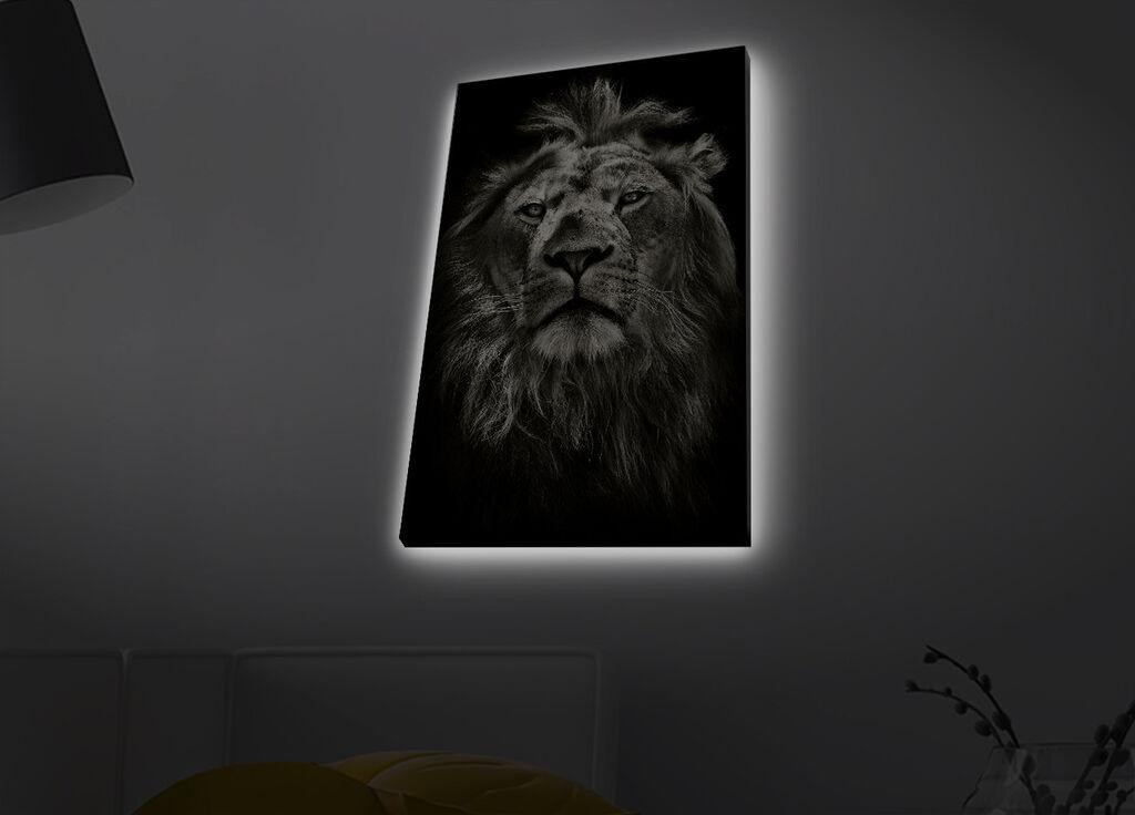 Wallity Slika na platnu sa LED osvetljenjem 45x70cm
