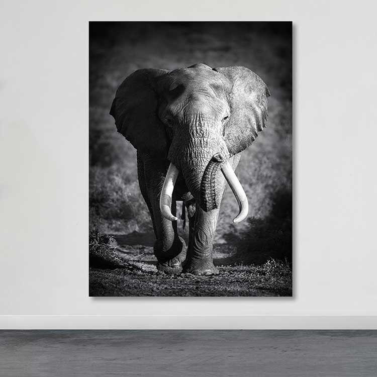 Wallity Slika DEV02259100140, 100x140 cm