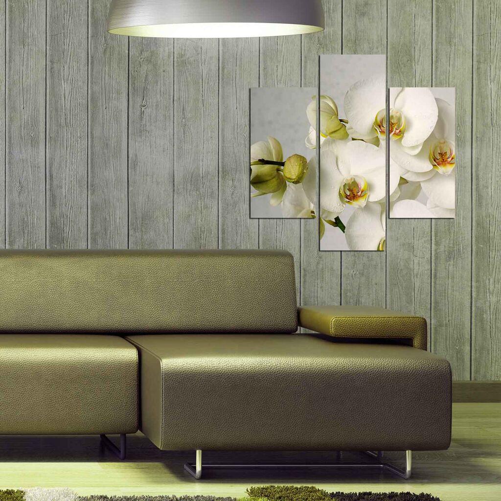 Wallity Set slika 3MDF-063, 3 Dela
