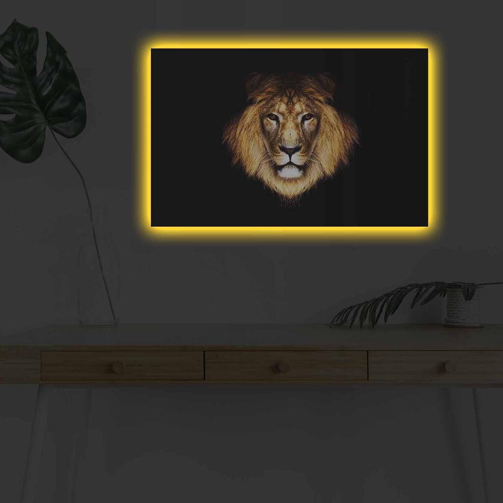 Wallity Slika sa LED osvetljenjem 4570DHDACT-045, 45x70 cm