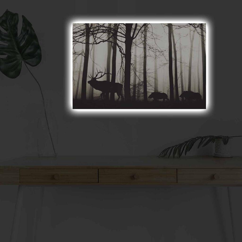 Wallity Slika sa LED osvetljenjem 4570DHDACT-080, 45x70 cm