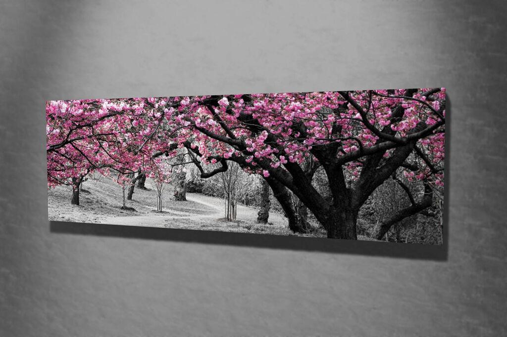 Wallity Dekorativna slika na platnu, 30x80cm, Šarena