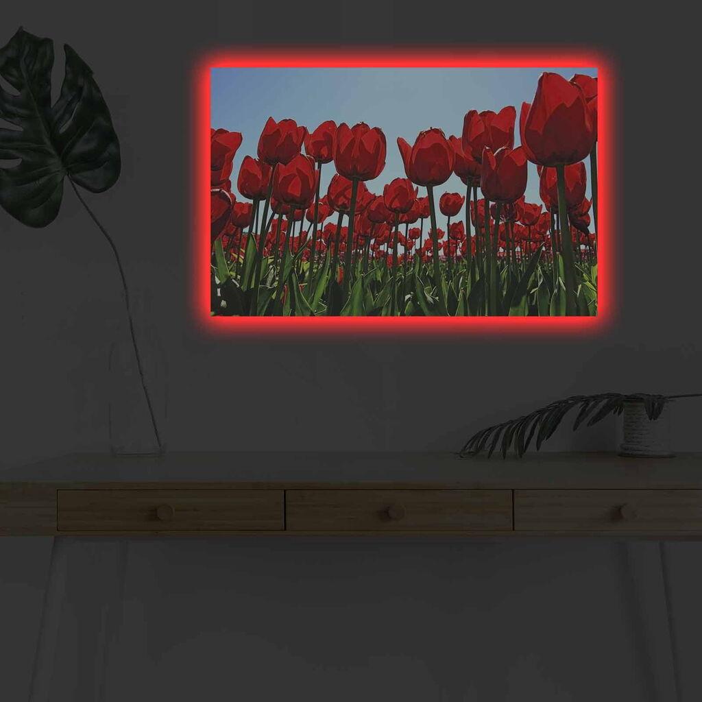 Wallity Slika sa LED osvetljenjem 4570DHDACT-036, 45x70 cm