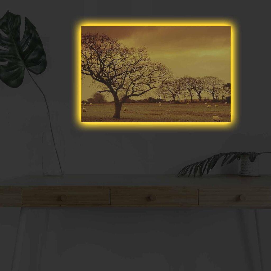 Wallity Slika sa LED osvetljenjem 4570DHDACT-047, 45x70 cm