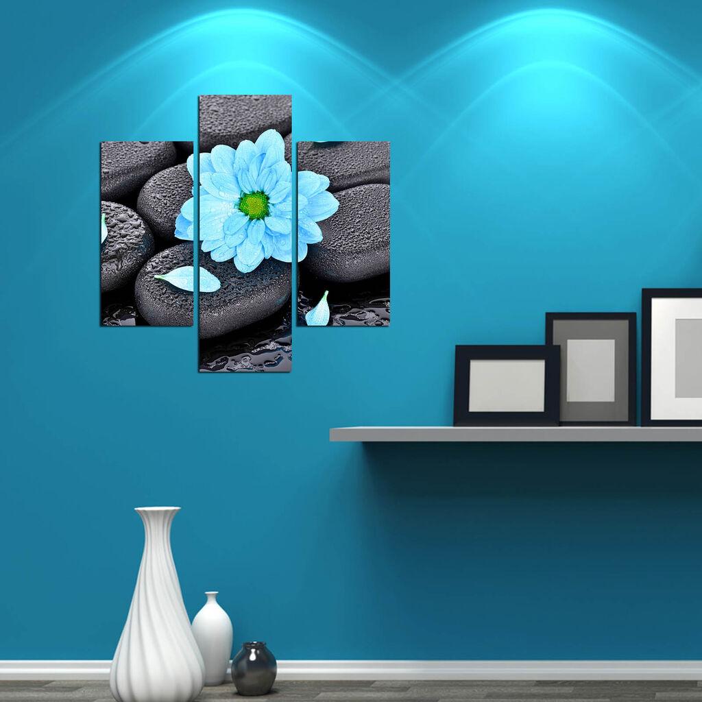 Wallity Set slika 3MDF-076, 3 Dela