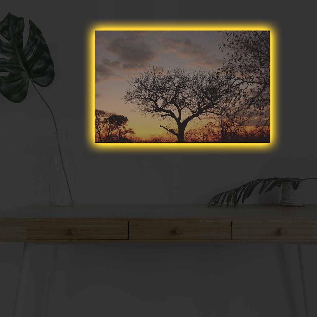 Wallity Slika sa LED osvetljenjem 4570DHDACT-046, 45x70 cm