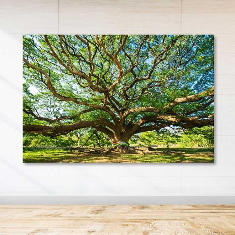 Wallity Slika DEV03211100140, 100x140 cm