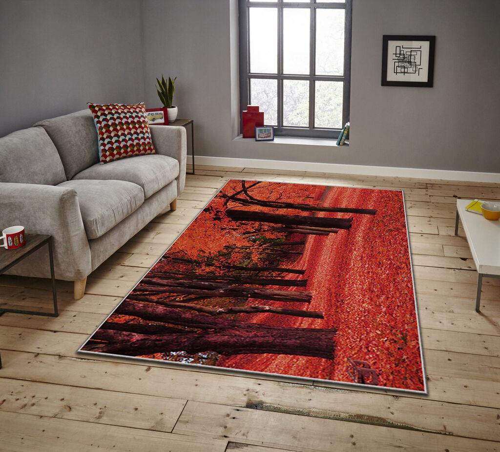 Conceptum Hypnose Tepih Asr Crpt-15, Pravougaoni, 80 x 140 cm, Narandžasti