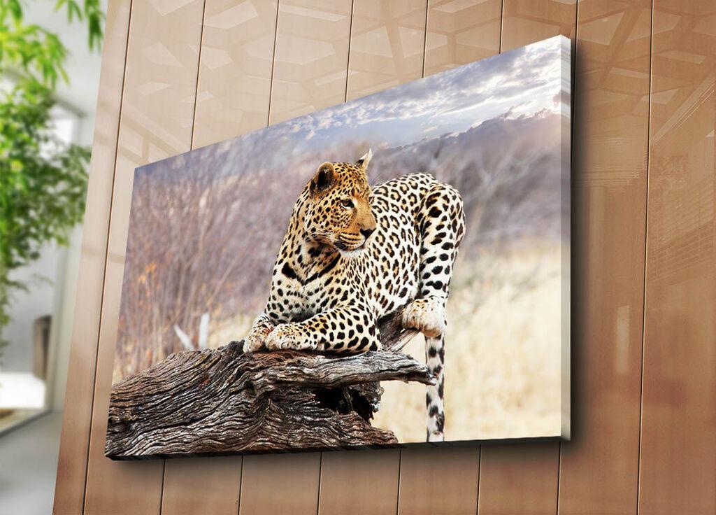 Wallity Dekorativna slika na platnu, 70x100cm, Šarena