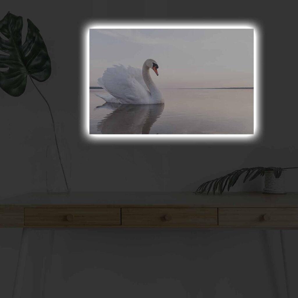 Wallity Slika sa LED osvetljenjem 4570DHDACT-111, 45x70 cm