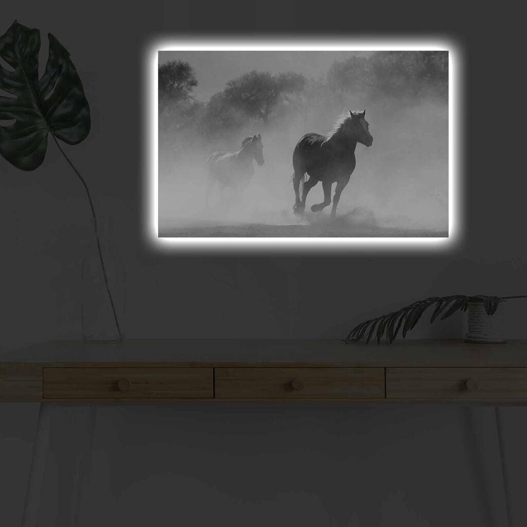Wallity Slika sa LED osvetljenjem 4570DHDACT-125, 45x70 cm