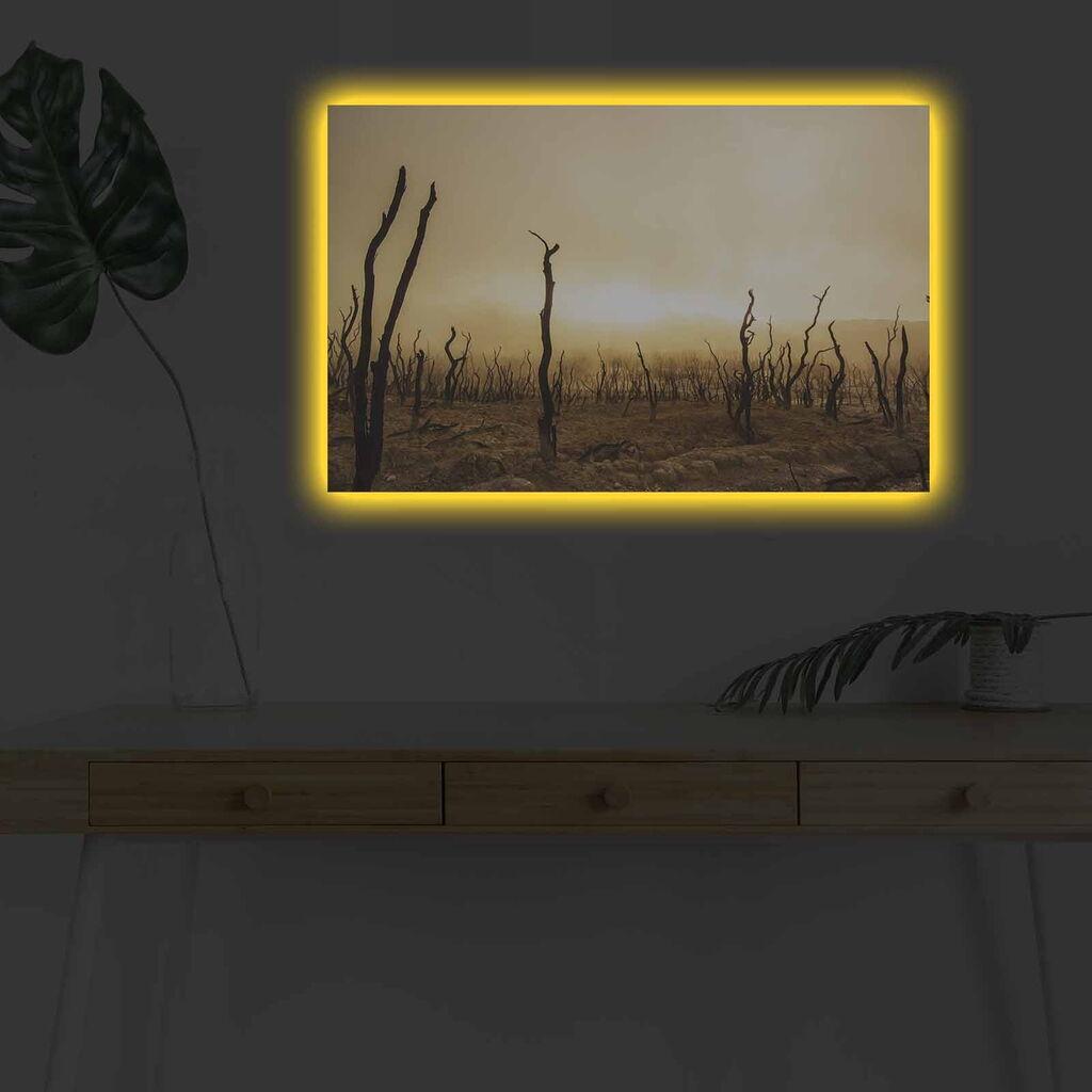 Wallity Slika sa LED osvetljenjem 4570DHDACT-073, 45x70 cm