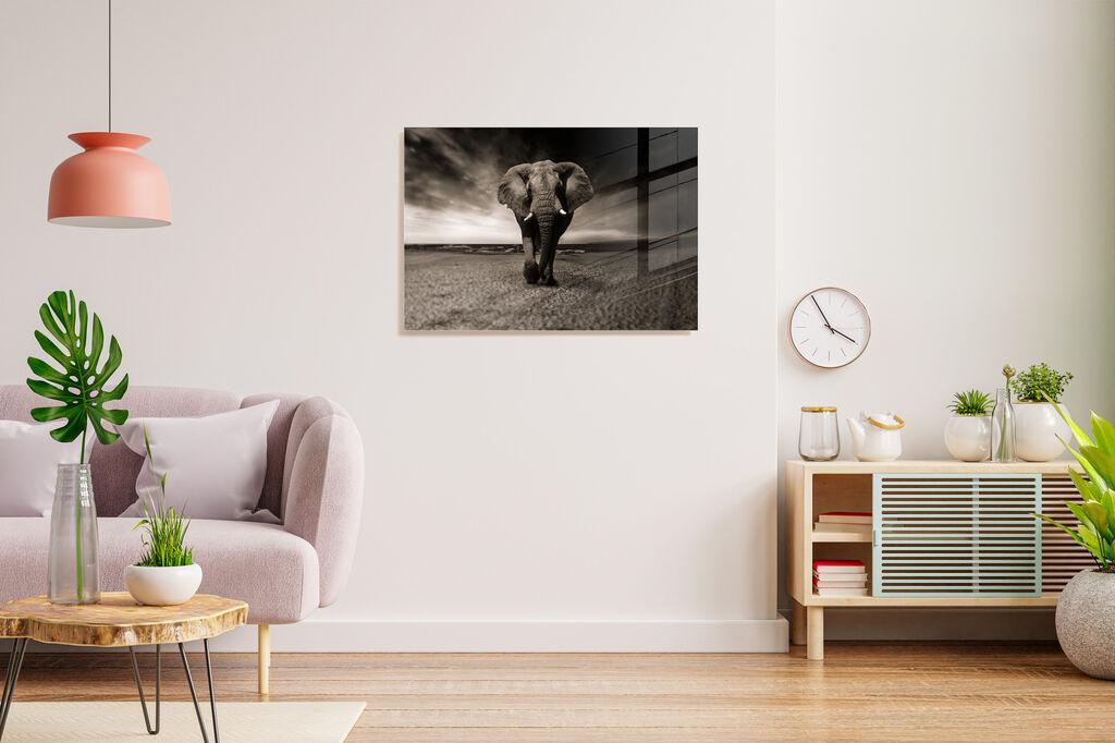 Wallity Dekorativna slika na kaljenom staklu, 30x45cm, Šarena