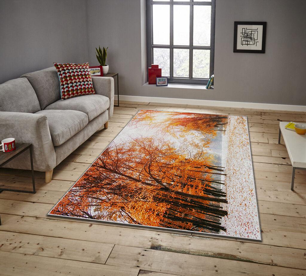 Conceptum Hypnose Tepih Asr Crpt-12, Pravougaoni, 80 x 140 cm, Šareni