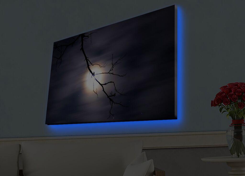Wallity Slika sa LED osvetljenjem 4570HDACT-019, 45x70 cm
