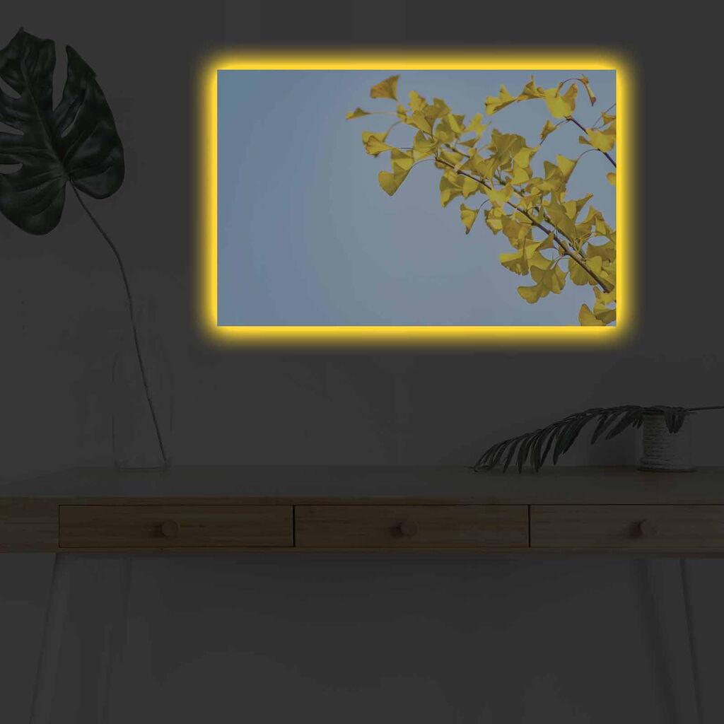 Wallity Slika sa LED osvetljenjem 4570DHDACT-031, 45x70 cm