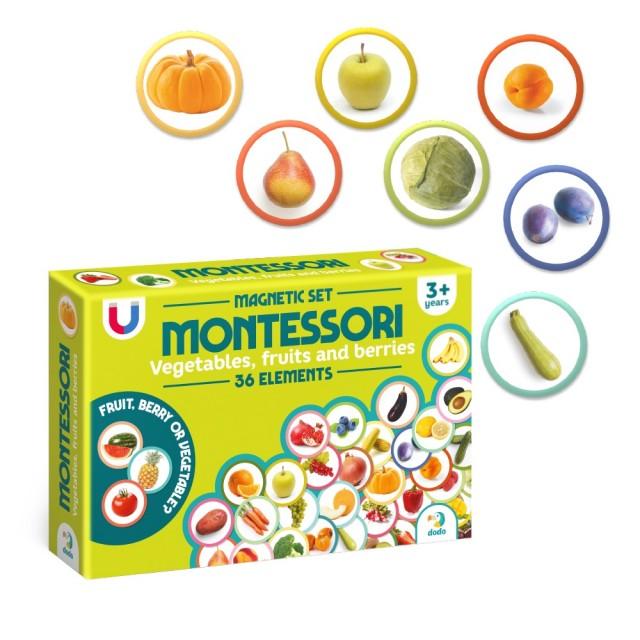 Dodo magnetni Montesori set - voće i povrće