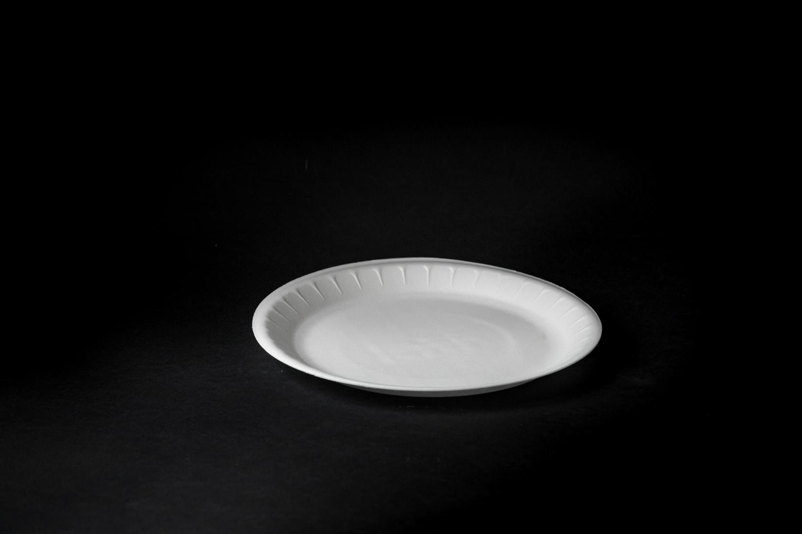 Stiropor tanjir, FI240, 100 komada