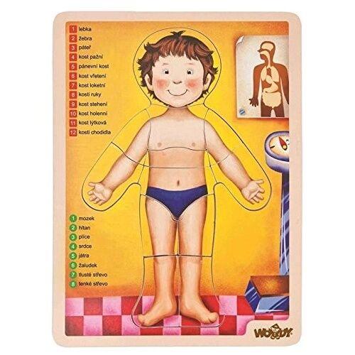 Woody Edukativni set Human Body