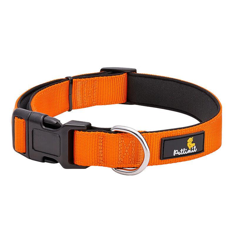 Petlimit Ogrlica za pse, M, Narandžasta