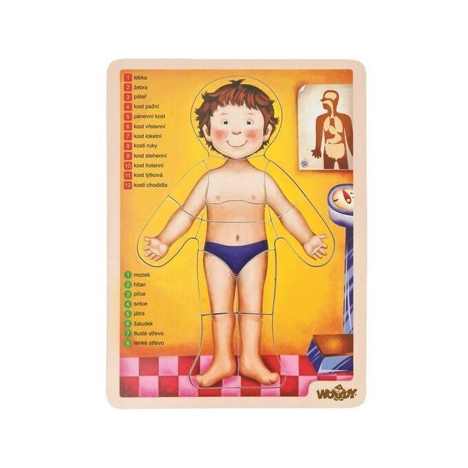 Woody Edukativna igračka ljudsko telo