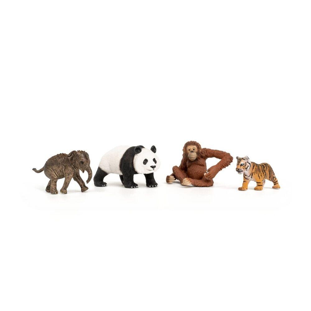 Schleich Igračka Set životinja Wild Life Asia Starter