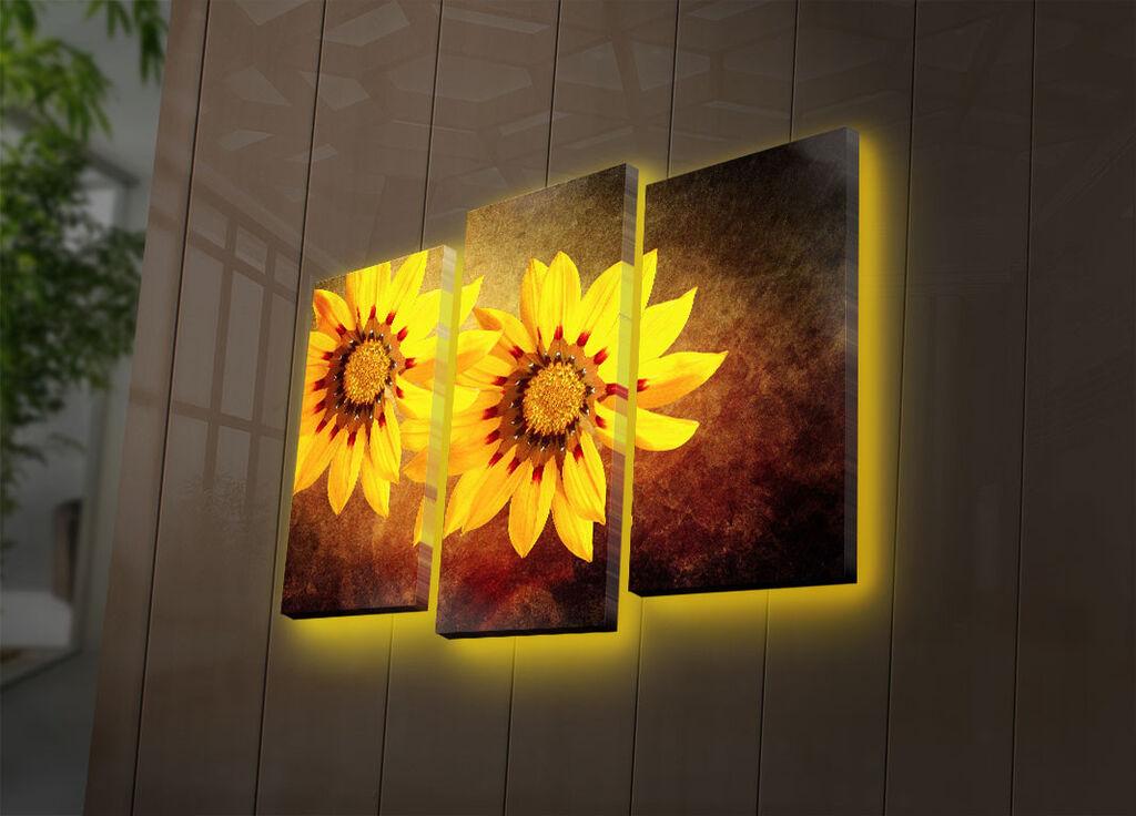 Wallity Zidna LED dekoracija 3PATDACT-7, 82 x 50 cm, Šarena