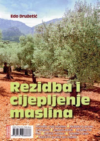 Rezidba i cepljenje maslina