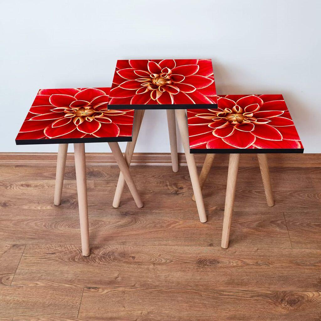 Hanah Home Set klub stočića 3Shp361, 3 komada, Šareni