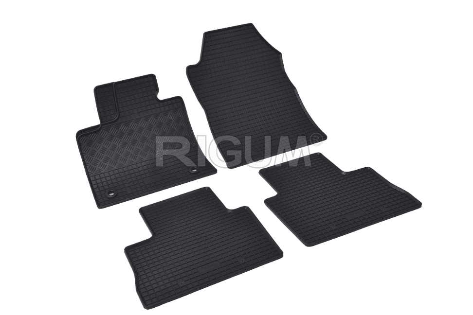 Rigum Tipske gumene patosnice za Toyota Rav4 Hybrid 2019, Crne