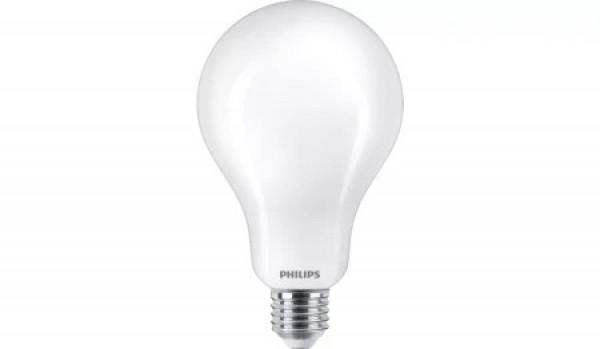 PHILIPS LED Sijalica CLASSIC, 150W, A67, E27, CDL, FR, ND, 1SRT4