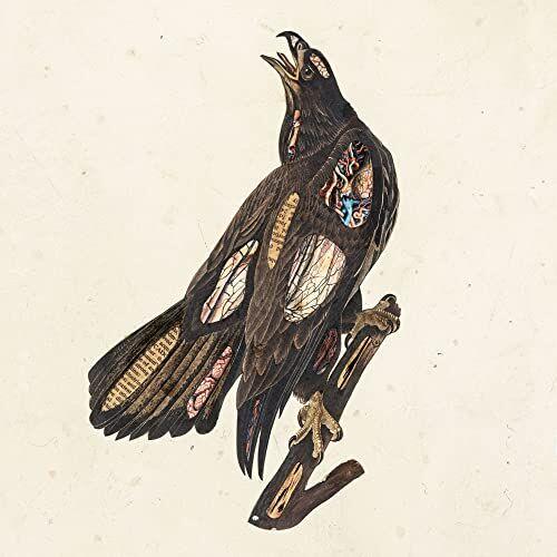 Clutch - Book Of Bad Decisions (Picture Disc)