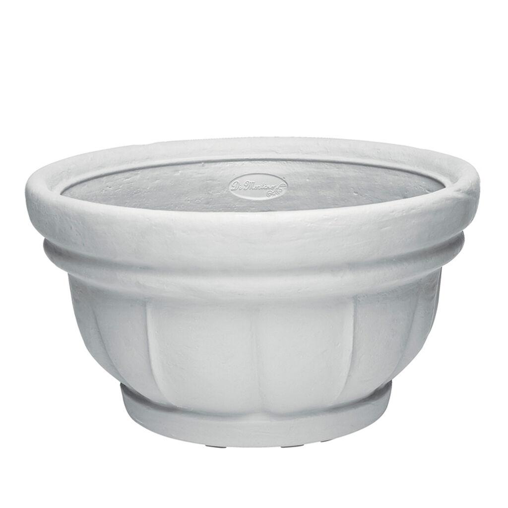 DiMartino Saksija Lara, 10l, Bela