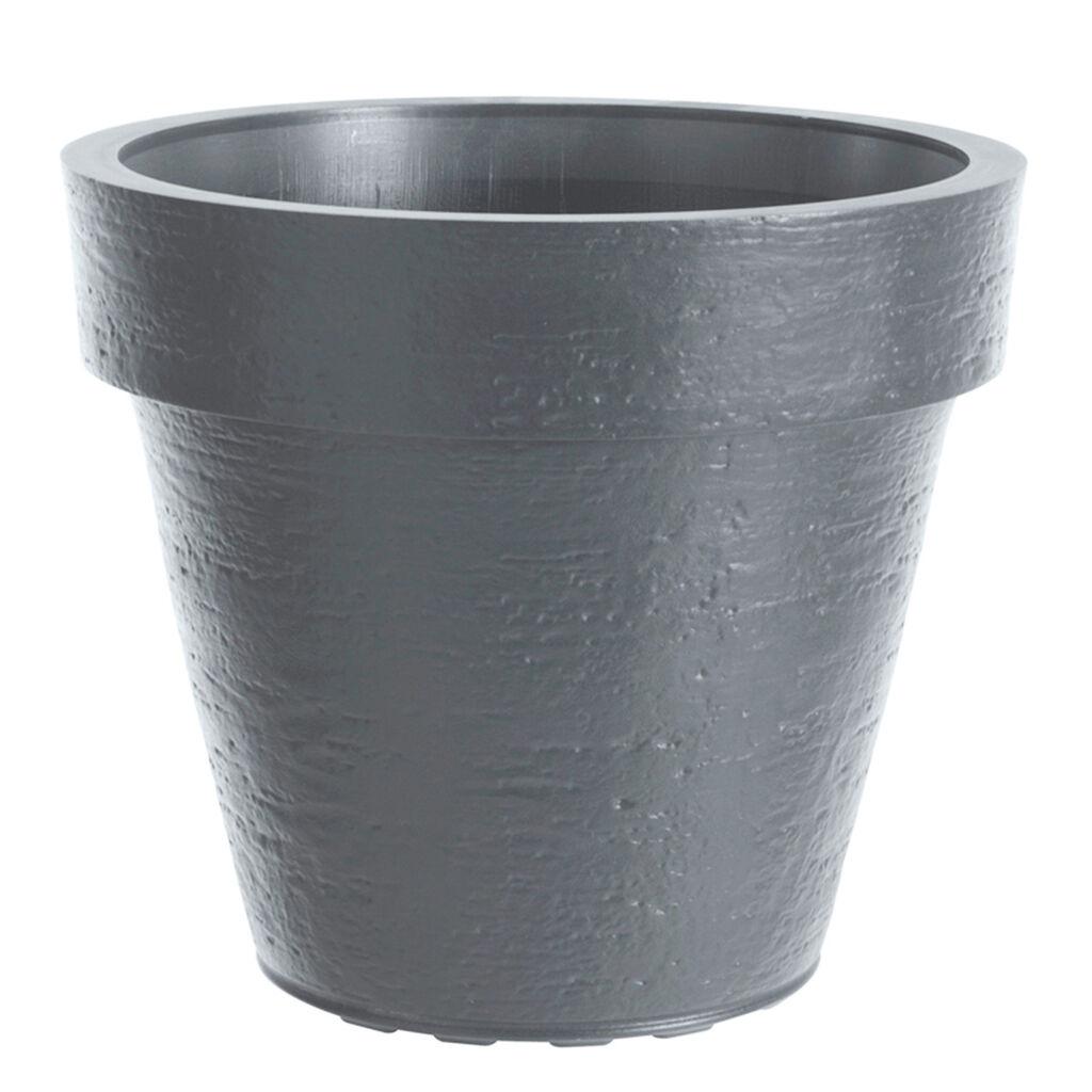 DiMartino Saksija Tago, 28l, Tamnosiva