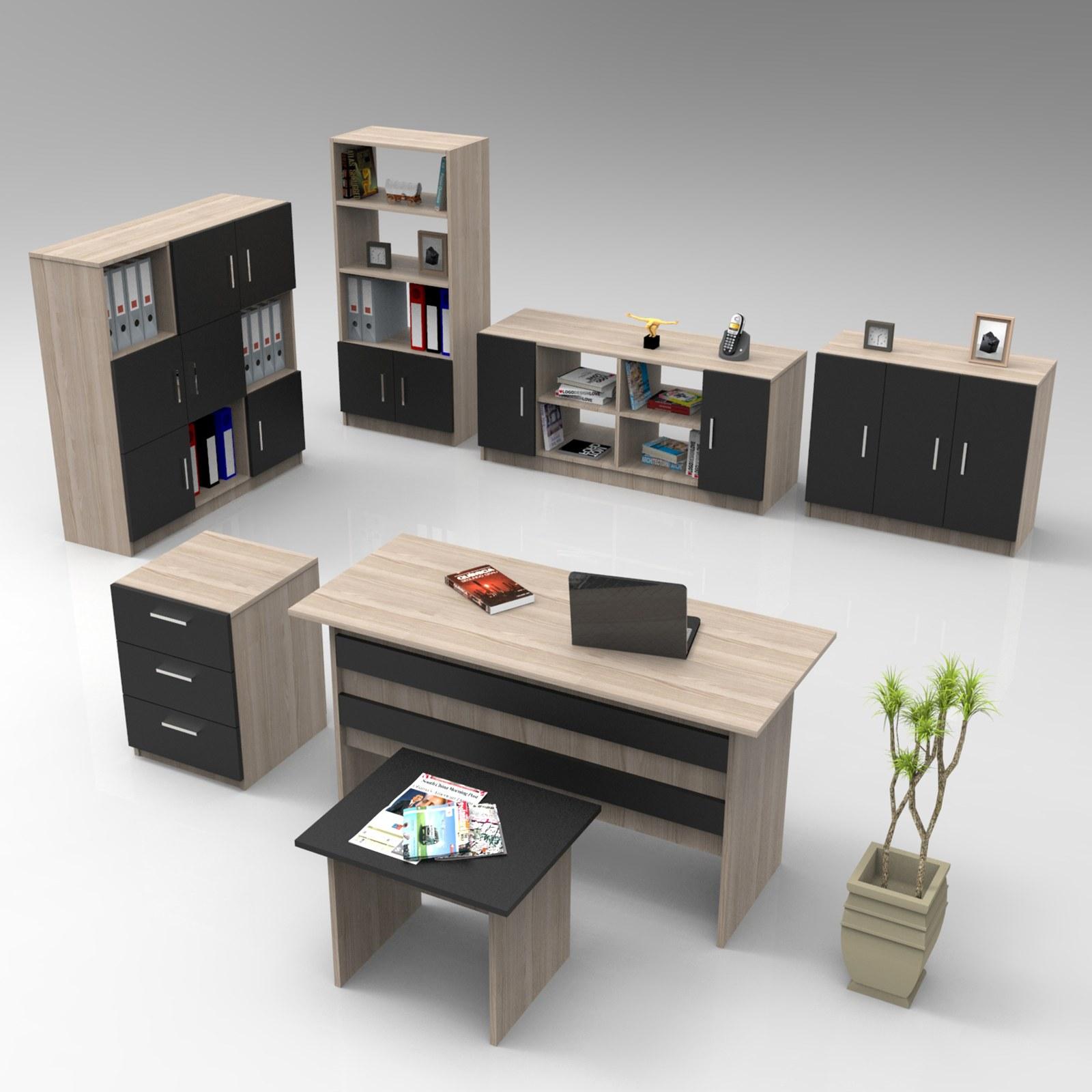 Hanah Home Kancelarijski set Hrast-Crni