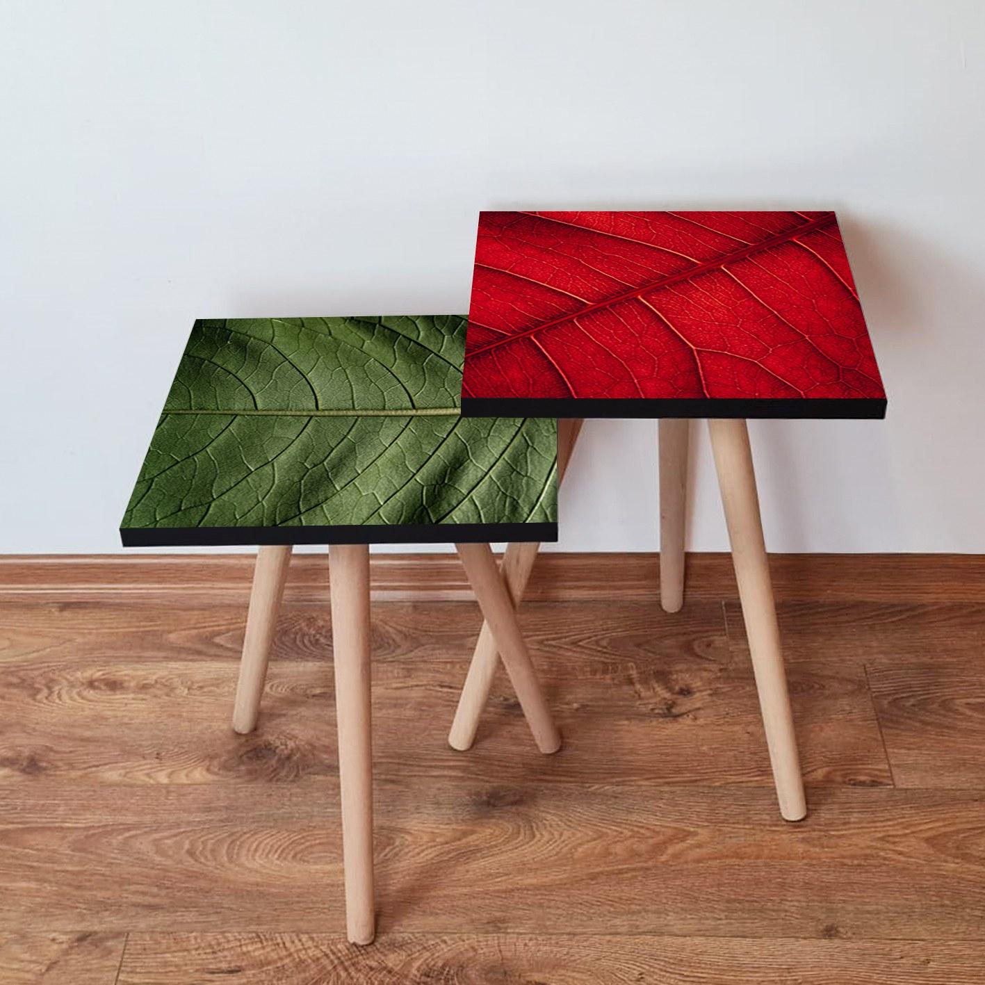 Hanah Home Set klub stolova, 2 komada Zeleno-Crveni